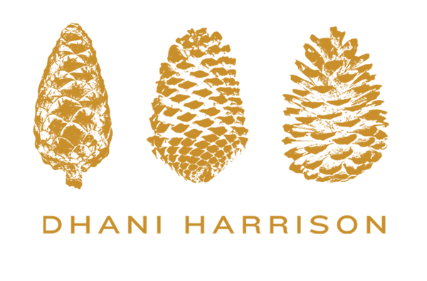 Dhani Harrison