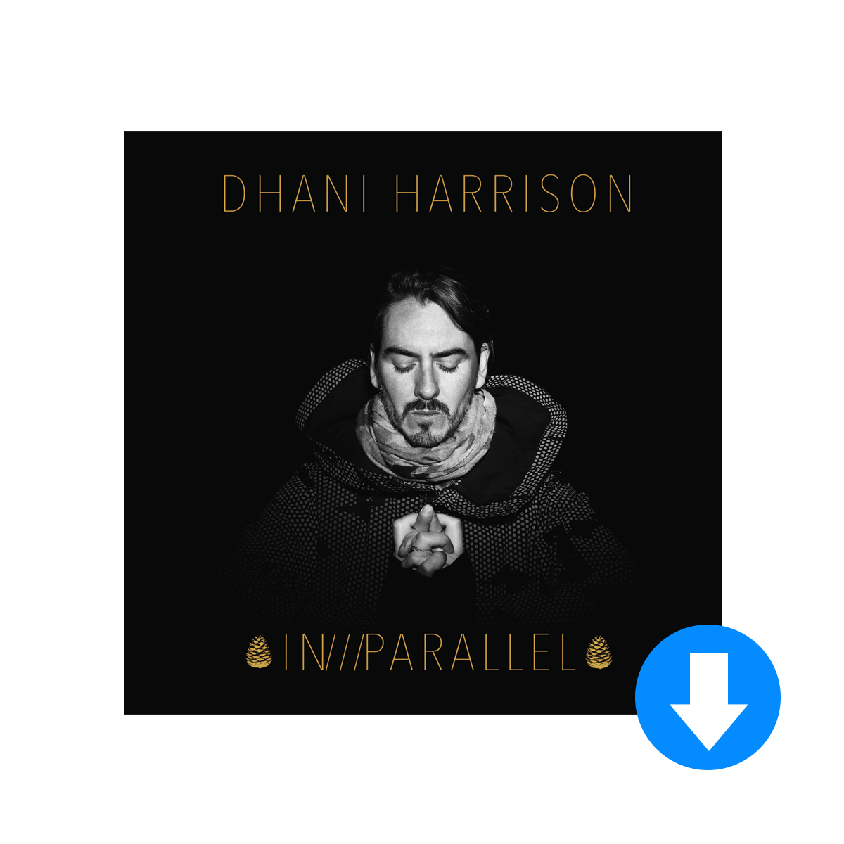 In Parallel - Dhani Harrison